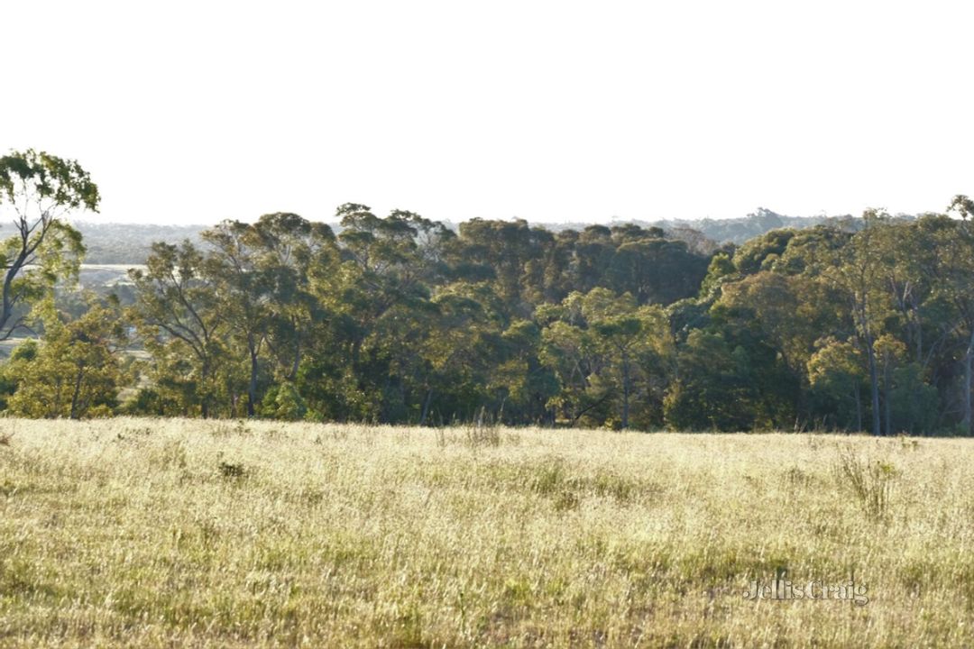 Image of property at Lot 3 Ross Creek Haddon Road, Smythesdale VIC 3351