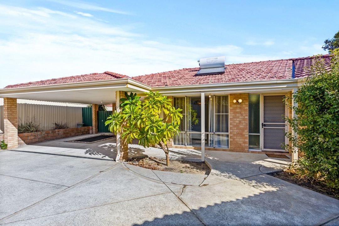 Image of property at 29A Newgate Street, Alexander Heights WA 6064