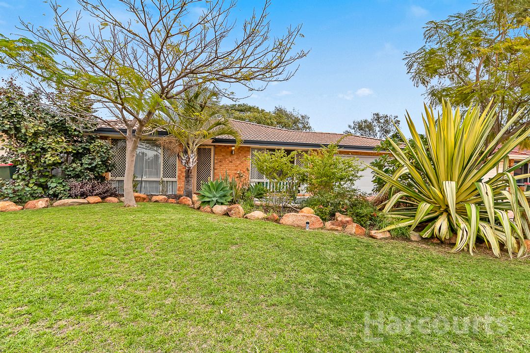 Image of property at 17 Highlander Place, Currambine WA 6028