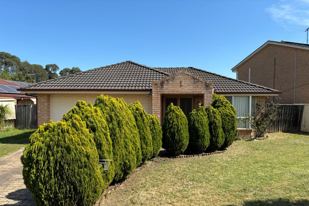 Image of property at 10 Alexander Parade, Blacktown NSW 2148